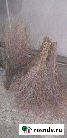 Метла Абакан - изображение 1