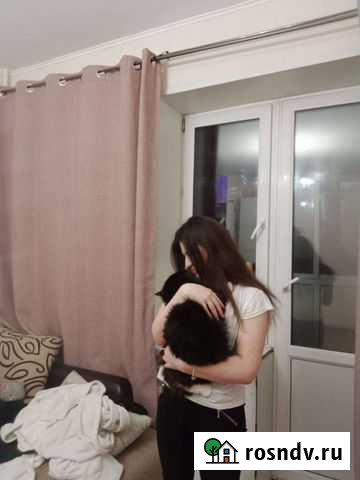 Передержка животных на время отпуска Люберцы - изображение 1