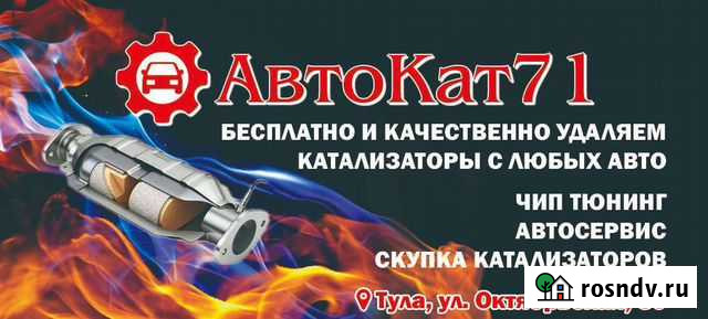 Удаление катализатора бесплатно с доплатой вам до Тула - изображение 1