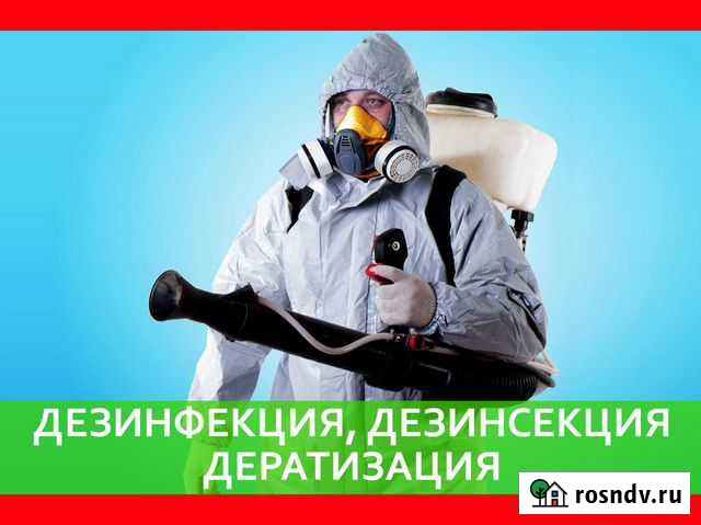 Уничтожение клопов тараканов муравьёв крыс Таганрог - изображение 1