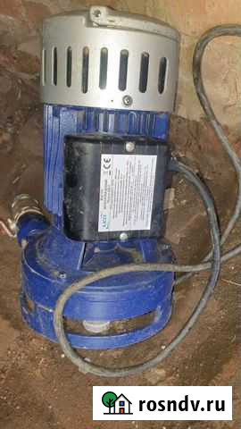 Leo Великовечное - изображение 1