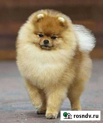 Модели на стрижку Самара - изображение 1