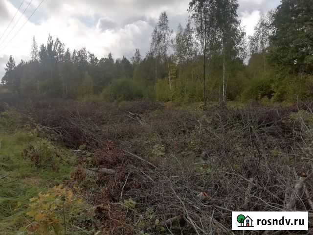 Расчистка участка, вывоз мусора Великие Луки - изображение 1