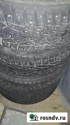 Шины Богданович - изображение 1