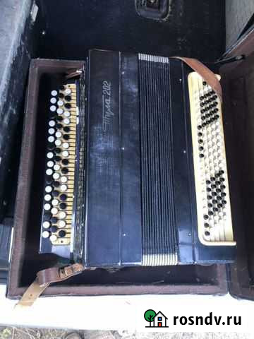 Баян Тульский 3/4 Волгоград - изображение 1