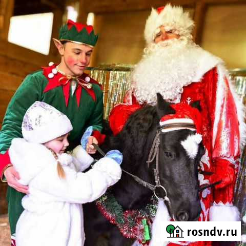 Дед Мороз на дом Балабаново - изображение 1