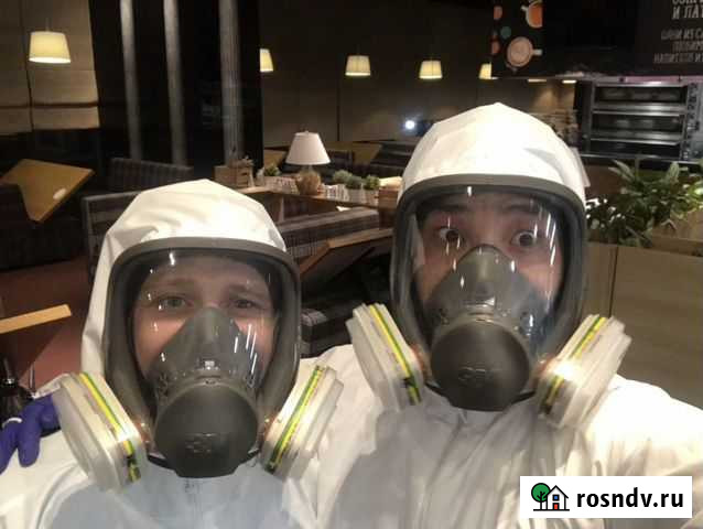 Дезинсекция, дезинфекция, дератизация, дезодорация Иркутск - изображение 1