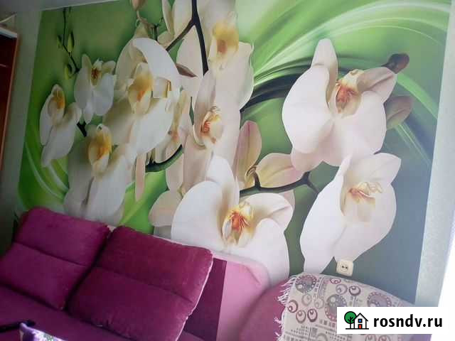 Ремонт квартир Пермь - изображение 1