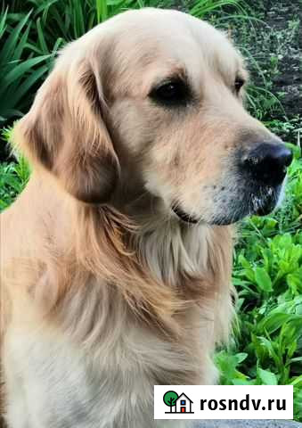 Вязка Новомосковск - изображение 1