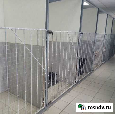 Гостиница для собак и кошек Сургут - изображение 1