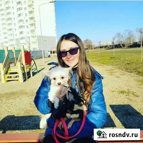 Передержка собак мелких пород и кошек гмр. Зооняня Краснодар - изображение 1