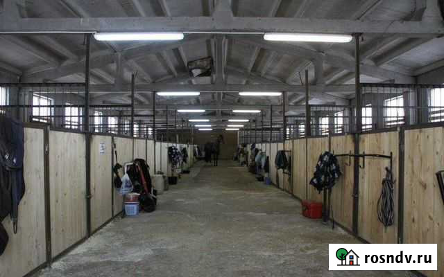 Кварцевый песок для конюшни, ипподрома (кск) Лыткарино - изображение 1