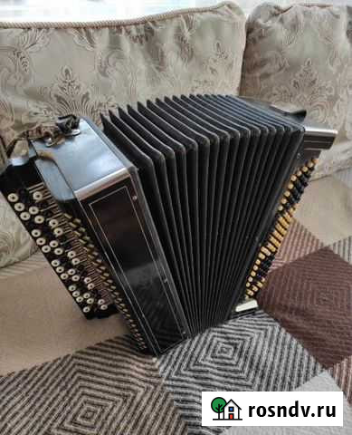 Баян Армавир - изображение 1