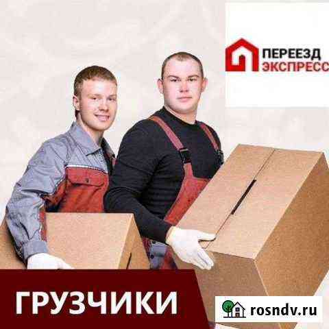 Грузчики Кириши