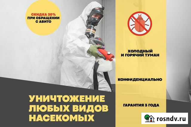Дезинсекция. Уничтожение тараканов, крыс, мышей Рязань - изображение 1