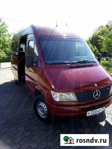 Пассажирские перевозки от 1 до 8 человек Калининград - изображение 1