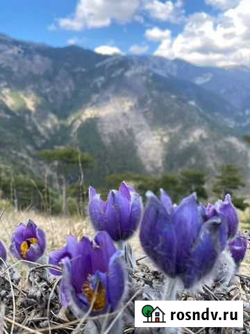 Гид по Заповеднику Ялты Ялта - изображение 1