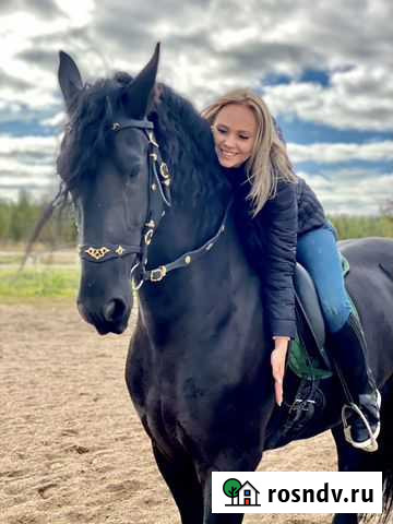 Конные прогулки Казань - изображение 1