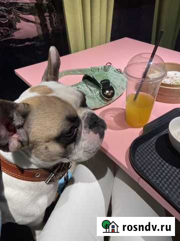 Тайный покупатель Йошкар-Ола - изображение 1