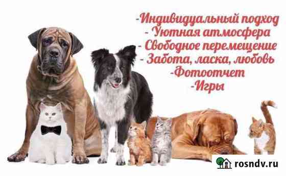 Зоогостиница Вологда