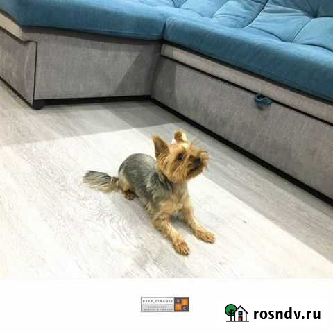 Химчистка мебели Тюмень Тюмень - изображение 1