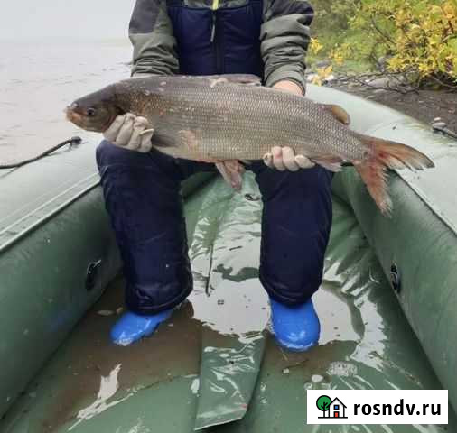 Лодка пвх Норильск - изображение 1