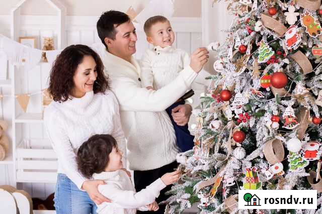 Новогодняя фотосессия, фотограф Челябинск - изображение 1