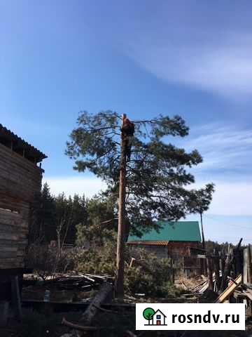 Спил,кронирование деревьев любой сложности Минусинск - изображение 1