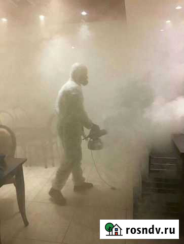 Уничтожение насекомых. Устранение запахов Калуга - изображение 1