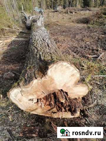 Дрова Кесова Гора - изображение 1