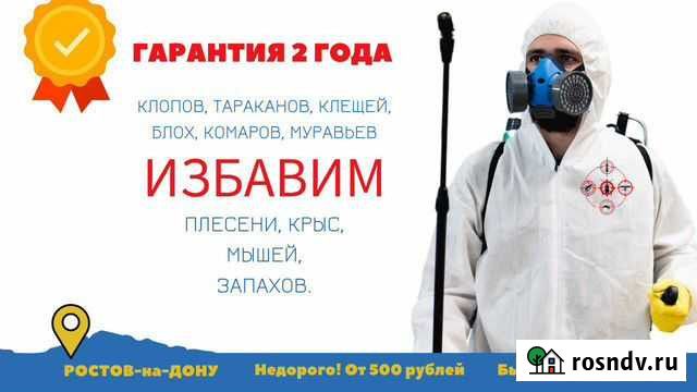 Дезинфекция, дезинсекция, травля тараканов Ростов-на-Дону - изображение 1