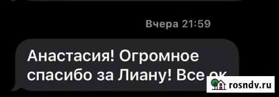 Уборка картир Сочи
