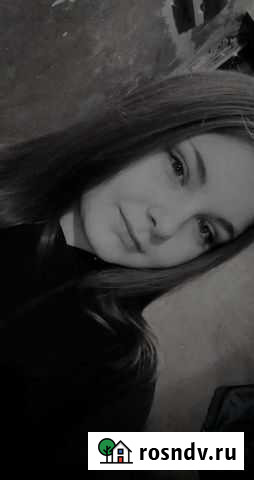 Вынул собак за деньги Псков - изображение 1