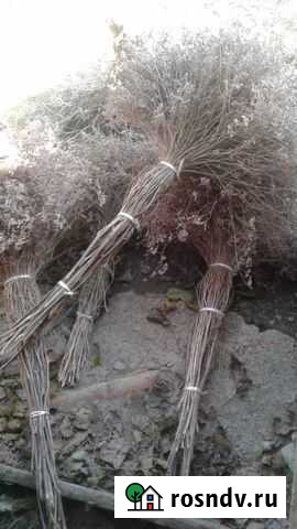 Веники Нечаевка - изображение 1