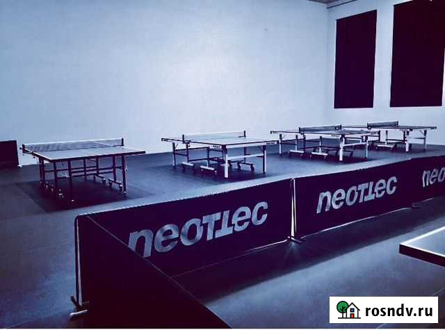 Тренировки по настольному теннису Рязань - изображение 1