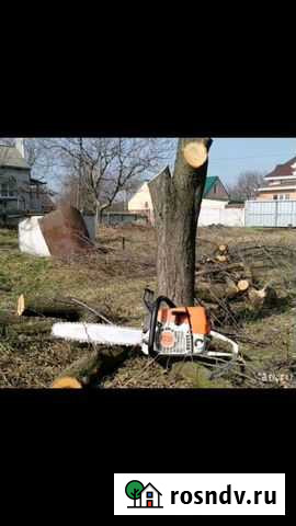 Спил деревьев сад огород Рославль - изображение 1