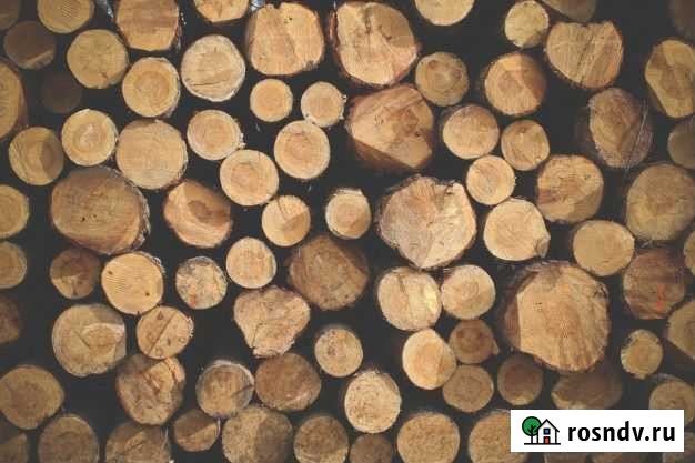 Дрова продаю Иркутск - изображение 1