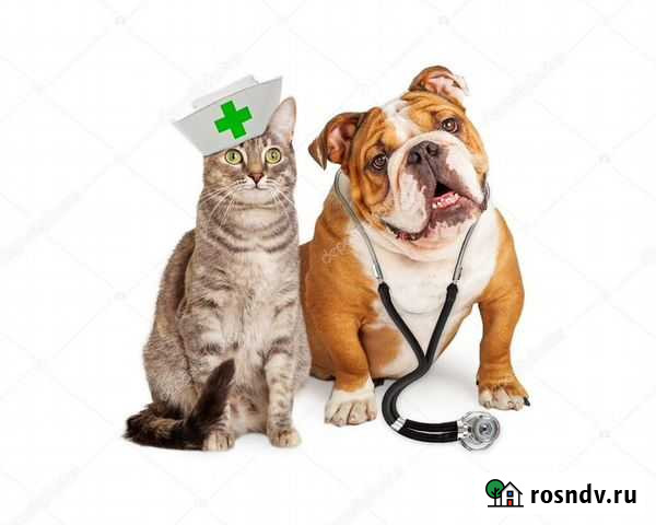 Ветеринар на дому и в клинике Москва - изображение 1