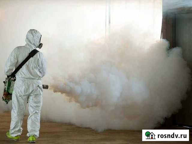 Уничтожение всех видов насекомых С гарантией Барнаул - изображение 1