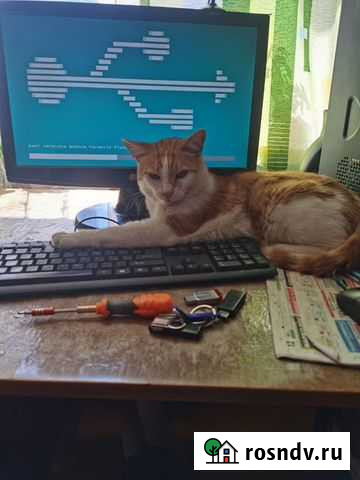 Ремонт и настройка компьютеров и ноутбуков Вологда - изображение 1