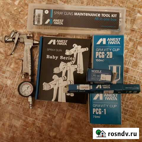 Краскопульт Ивата Дудинка - изображение 1