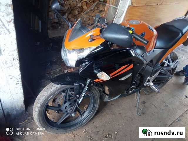 Пегас моторс 250 сс Омск - изображение 1