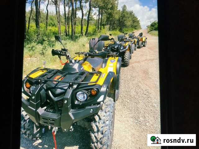 Продаю квадроцикл Стелс Леопард 650 Новогуровский - изображение 1