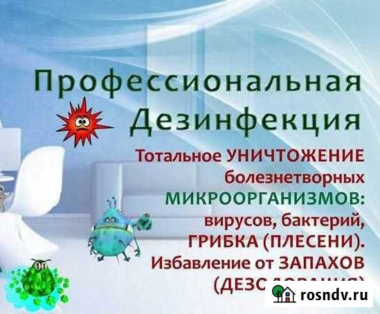 Дезинфекция и удаление любых запахов озоном Петропавловск-Камчатский - изображение 1