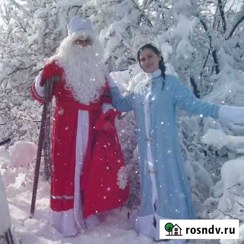 Дедушка Мороз с балалайкой и Снегурочка Ставрополь - изображение 1