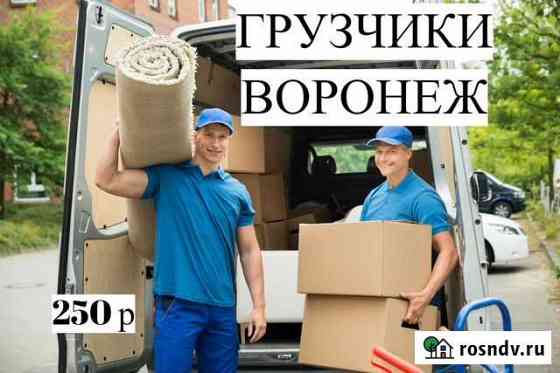 Грузчики Воронеж