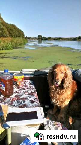 Вязка Рязань - изображение 1