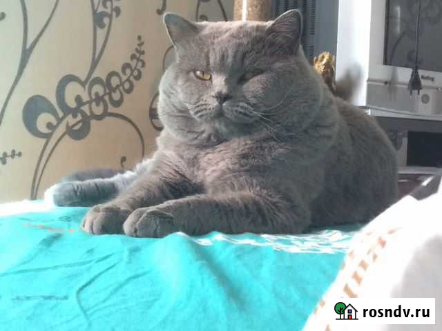 Вязка Белгород - изображение 1