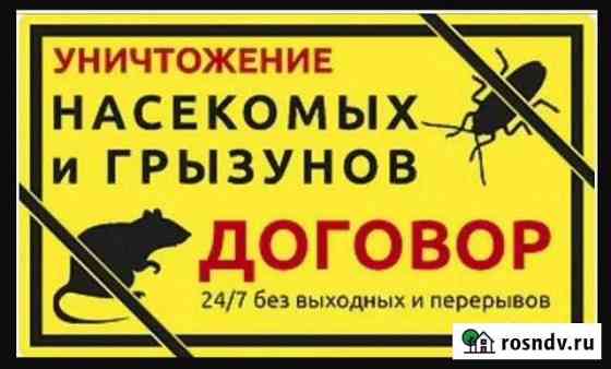 Уничтожение клопов тараканов клещей Йошкар-Ола Йошкар-Ола