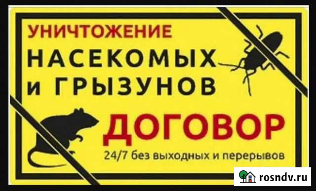 Уничтожение клопов тараканов клещей Йошкар-Ола Йошкар-Ола - изображение 1
